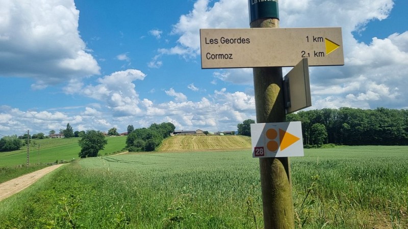 Circuit VTT-VTC n°28 (rouge) - Grand tour de Mépillat - Terres fortes de Cormoz_Saint-Nizier-le-Bouchoux