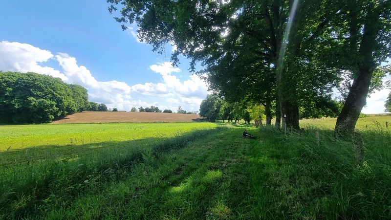 Circuit VTT-VTC n°28 (rouge) - Grand tour de Mépillat - Terres fortes de Cormoz_Saint-Nizier-le-Bouchoux