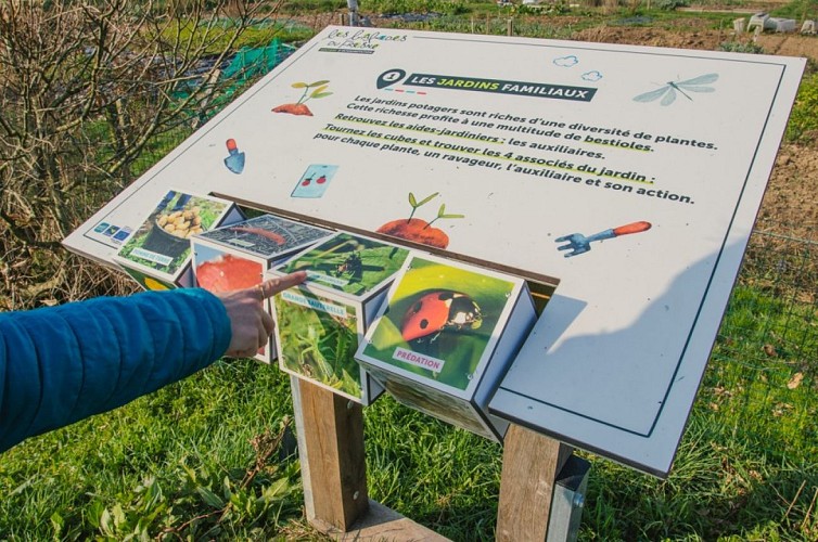 salamandre et la chouette breteil