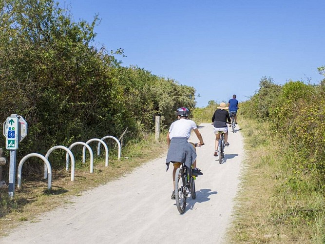 Cyclistes-Camille_Plichard_-__Normandie_Pays_d_Auge-1200x900