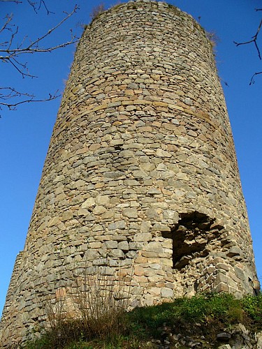 Ruines du château de l'Ours