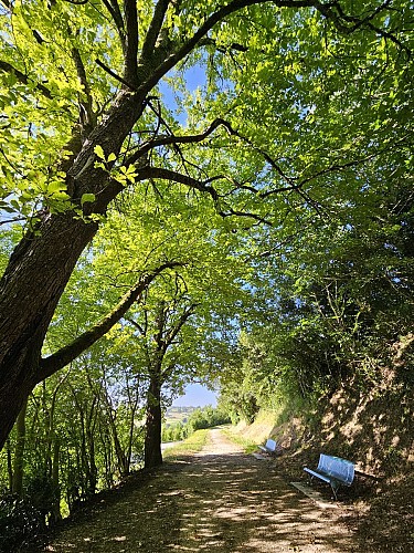 PR2 Mirabel - Le Circuit des Vergers