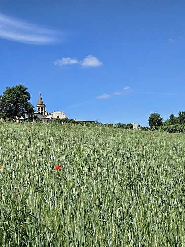 PR2 Mirabel - Le Circuit des Vergers