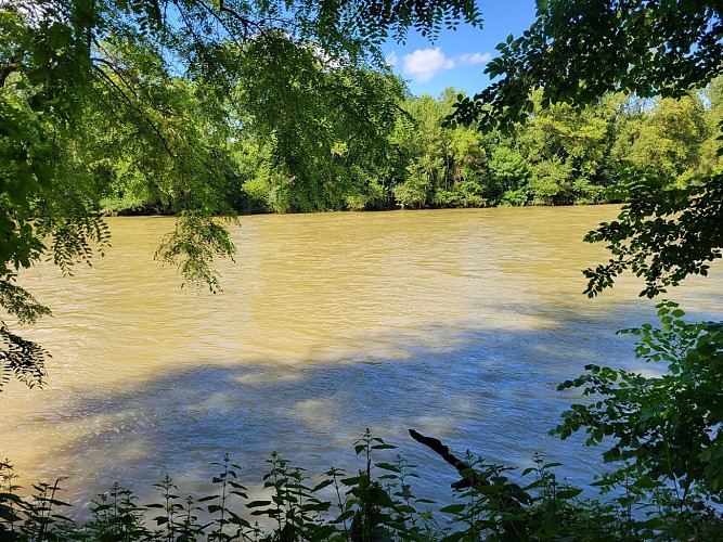 Bord de Garonne