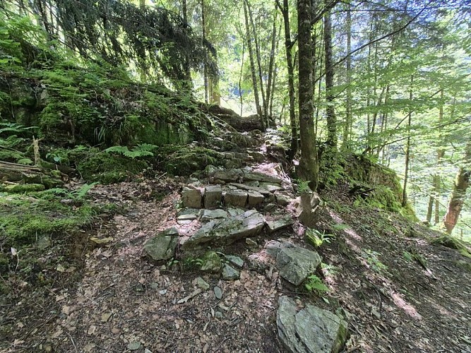 Petite marche avant d’arriver au pied de la cascade