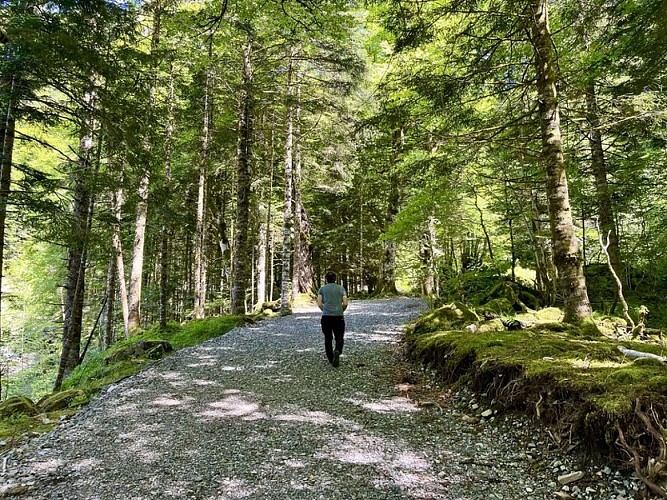 Immersion pendant la montée