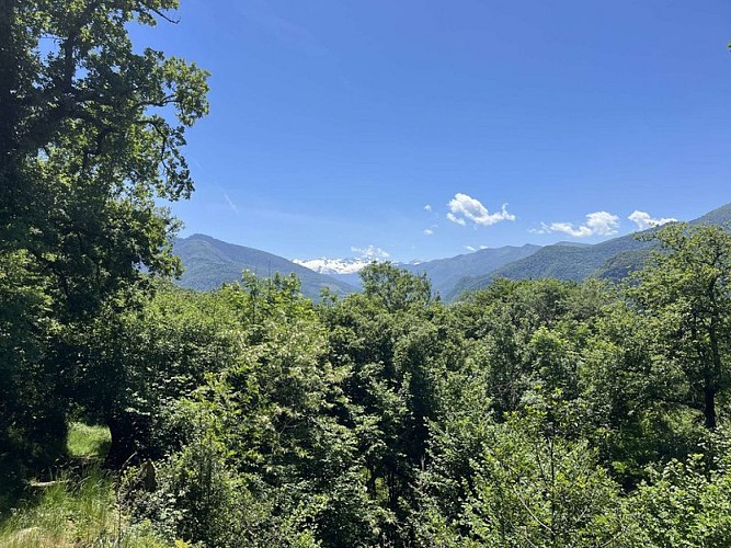 Vue sur le sommet du Luchonnais