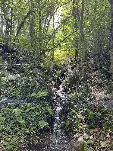 Rencontre avec un petit ruisseau