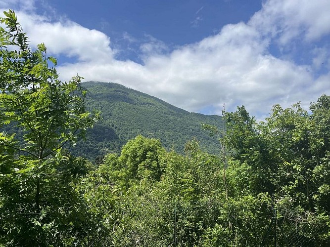 Point de vue sur les collines voisines