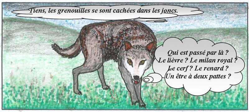 L'AUBRAC, BRAMELOUP-GEOCACH-NATURE Caches et objets surprises évoquant la faune et sa chaîne alimentaire