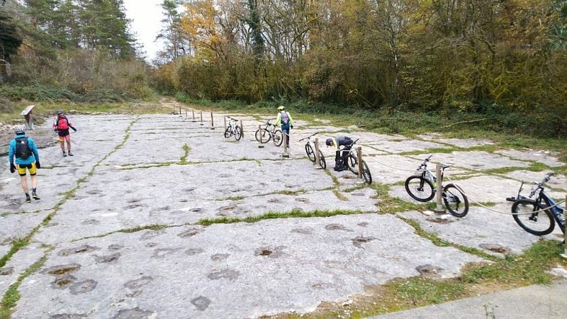Circuit VTT n°27 (rouge) - Piste des Dinosaures - Falaise de Bérranger_Cize
