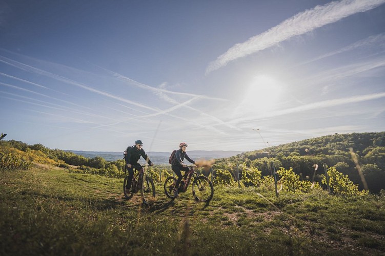 Circuit VTT n°23 (rouge) Entre vignoble et gorges du Suran