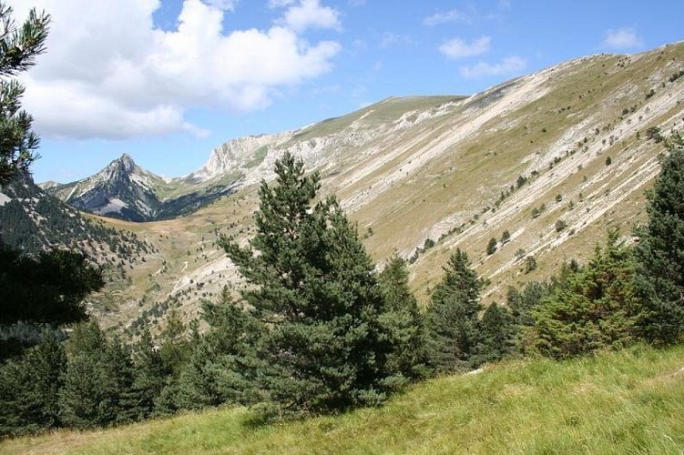 Randonnée aurtour du Jocou