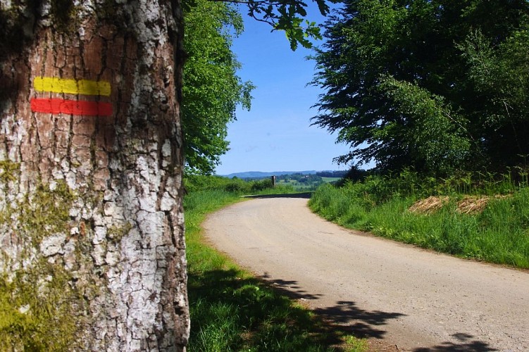 Piste de Lifarnet - GRPMBL - (St-Léonard-de-Noblat) - Mai 2025 - A. CLAVREUL - PETR du Pays Monts et Barrages copie.jpg