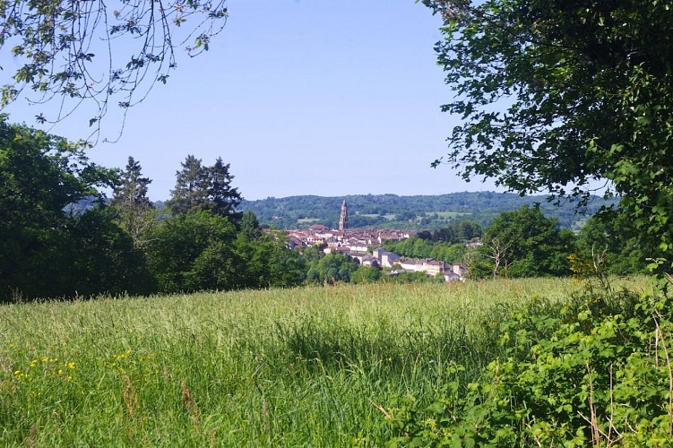Vue sur Saint-Léonard - Chemin de Lachaud (St-Léonard-de-Noblat) - Mai 2025 - A. CLAVREUL - PETR du Pays Monts et Barrages copie