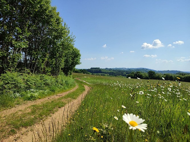 Chemin de la Goutte - Cheissoux - A. CLAVREUL - PETR du Pays Monts et Barrages - copie