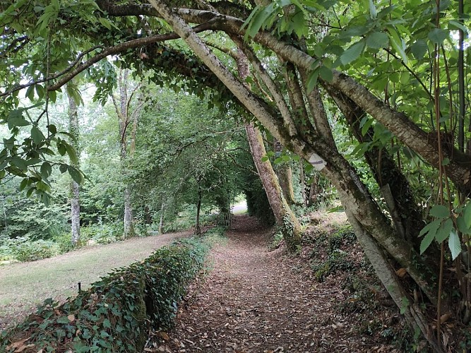 Chemin du Larron(c)Pays Monts et Barrages - Aurélien Clavreul copie