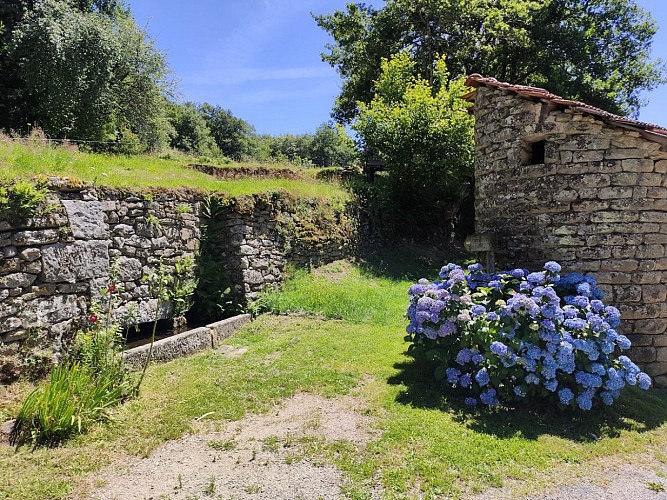 Quenouille - Peyrat-le-Château - (c) Pays Monts et Barrages - Aurélien Clavreul copie