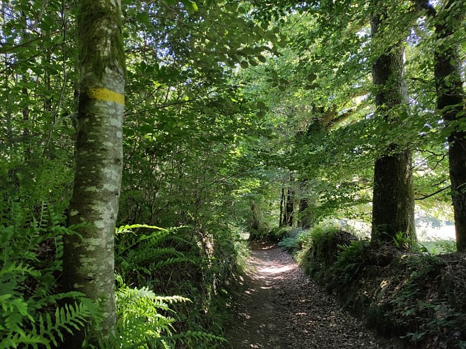 Chemin creux de Beaumont-du-Lac - (c)Pays Monts et Barrages - Aurélien Clavreul copie