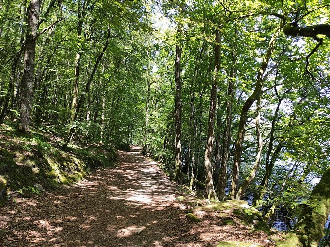 Sentier de rive du lac de Vassivière - Beaumont-du-Lac (c) Pays Monts et Barrages - Aurélien Clavreul copie