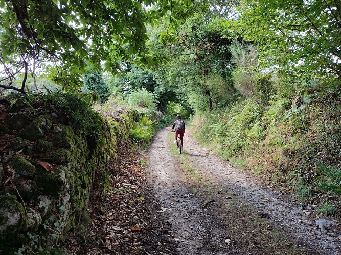 GRPMBL - Chemin creux - VTT - Villavaleix - Sainte-Anne-Saint-Priest (c) Pays Monts et Barrages