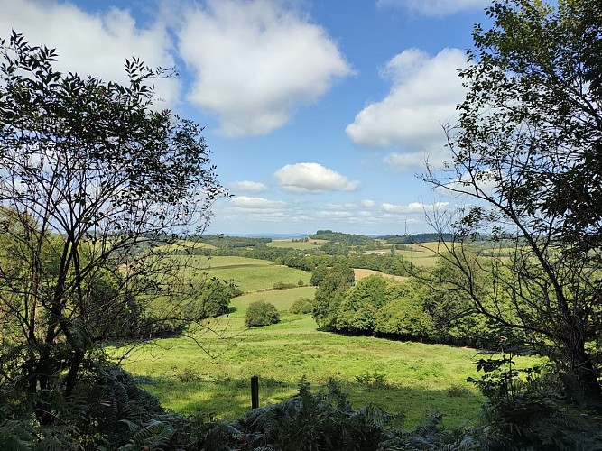 GRPMBL - ouverture paysagère - Chemin du Bouque - Sainte-Anne-Saint-Priest (c) Pays Monts et Barrages