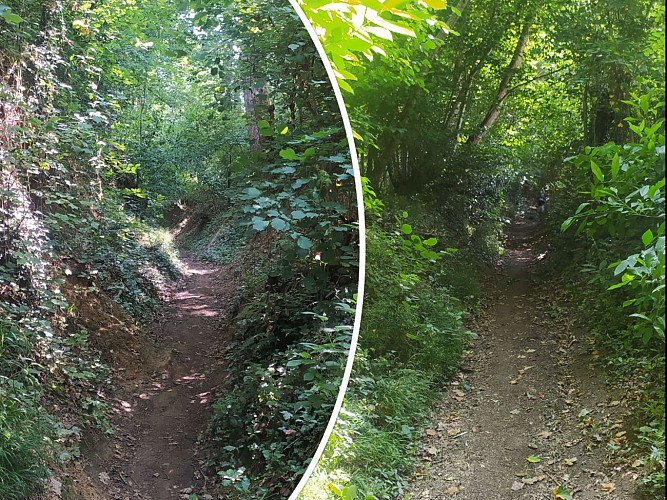 ETIVAL LES LE MANS - 17 kms