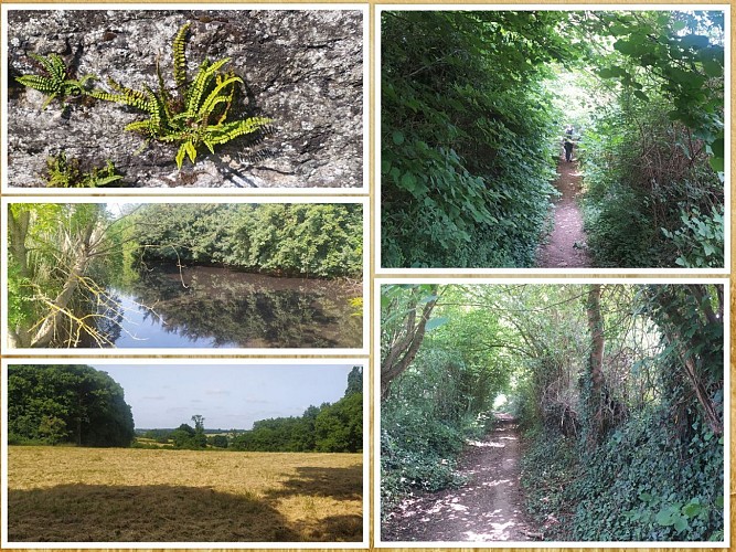 ETIVAL LES LE MANS - 17 kms