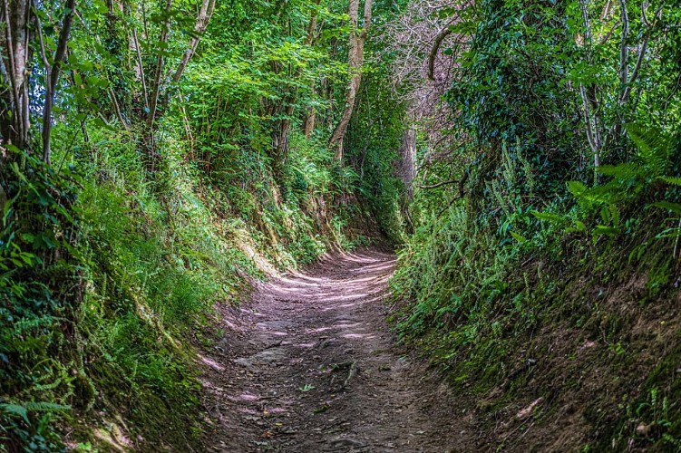 chemins des trois vallées coutances ©CAPAX ISO (1)