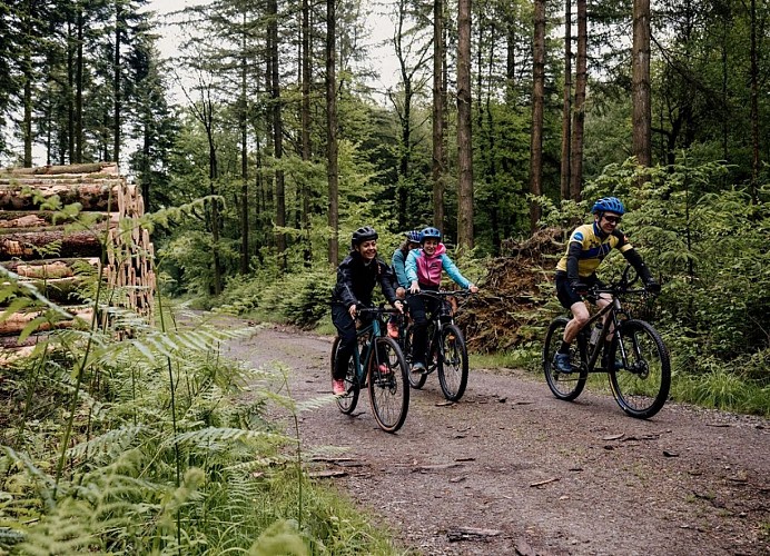 gravel_vtt_en_foret_d_andaine_avec_sylvaine_cussot_-_thomas_le_floc