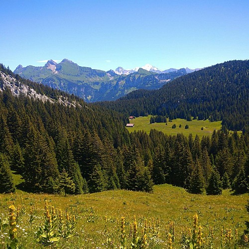 Au col de l'Ebat