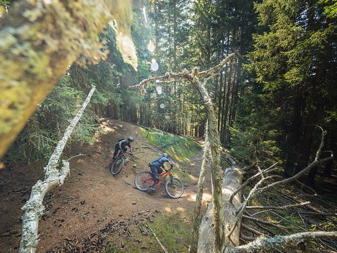 Hot Wheels - E-Bike - Cross Country