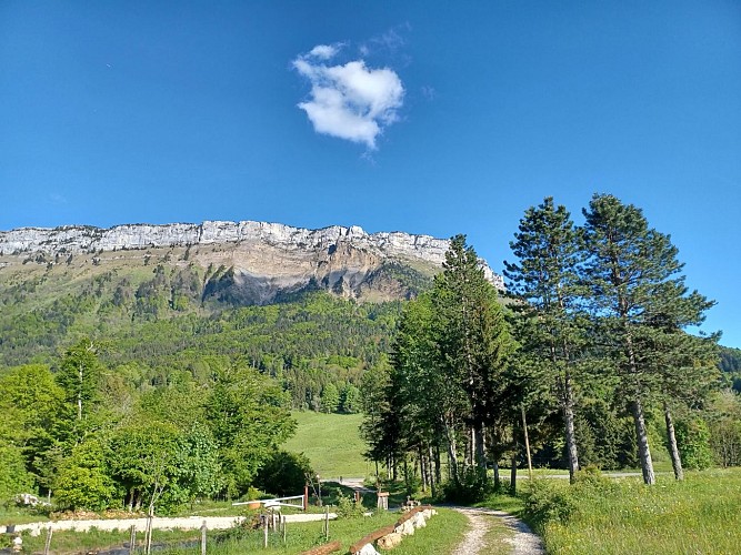 Randonnée au Col de Plainpalais depuis la Féclaz_La Féclaz