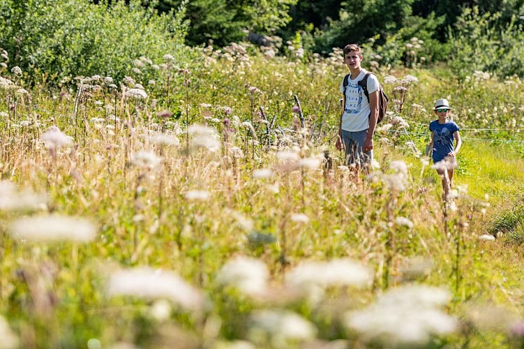 Randonnée au Col de Plainpalais depuis la Féclaz_La Féclaz