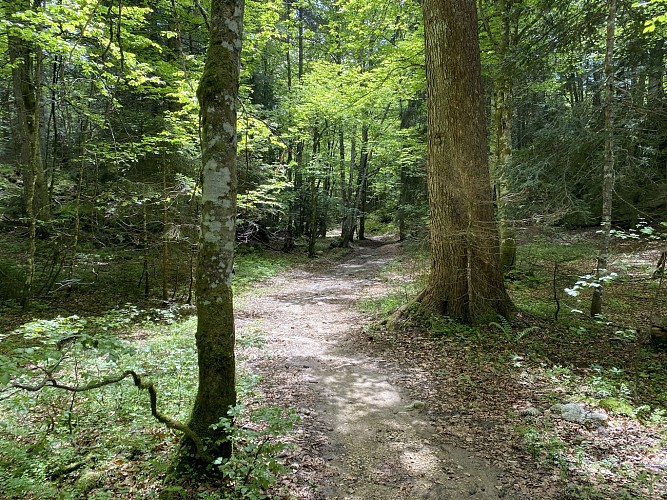 Randonnée au Col de Plainpalais depuis la Féclaz_La Féclaz