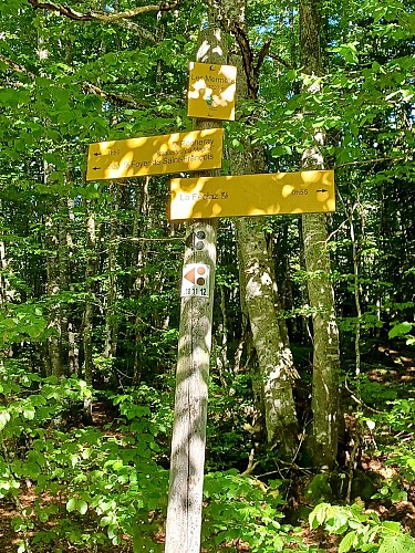 Randonnée au Col de Plainpalais depuis la Féclaz_La Féclaz