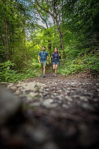 Randonnée au Col de Plainpalais depuis la Féclaz_La Féclaz