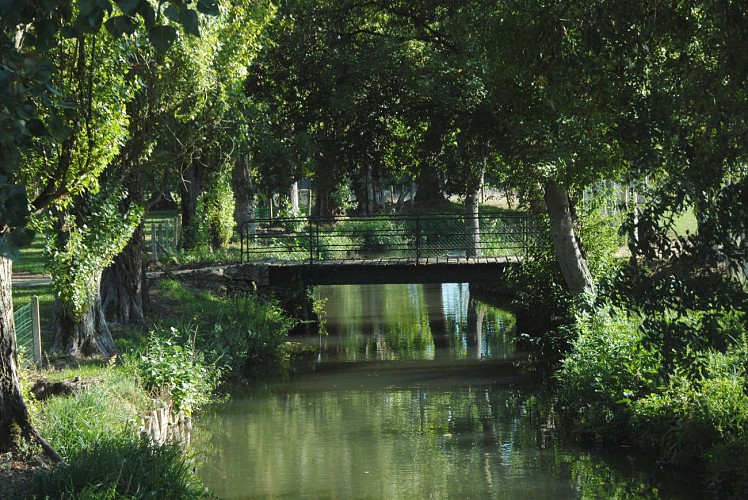 DISSAY-SOUS-COURCILLON / Circuit de Vauperon