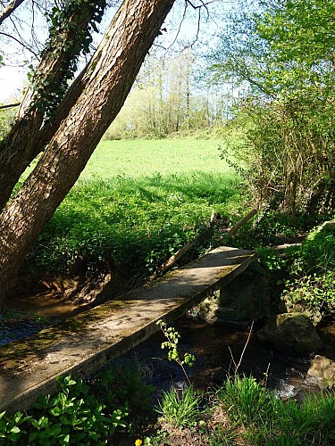 LUCEAU / Le petit bois sacré