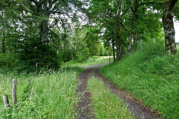 Le Tour de Fontanille à St Etienne de Carlat
