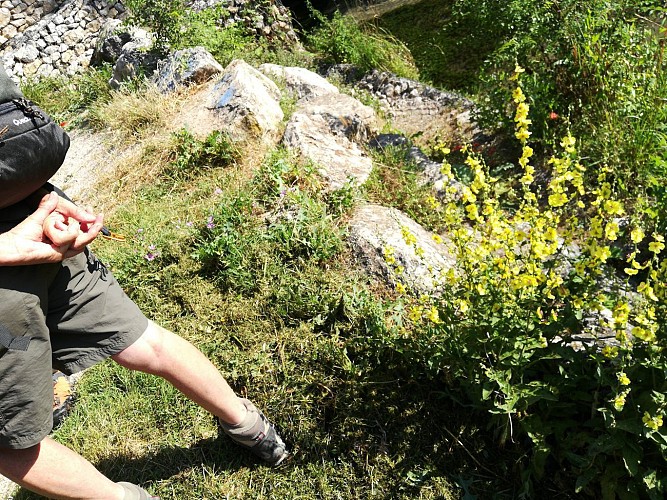 Fontaines, lavoirs et cascades de Barjols