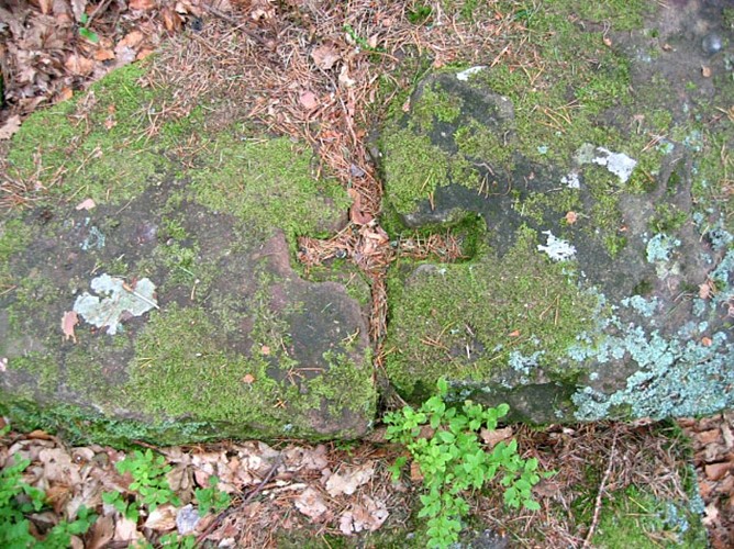 ALSACE CENTRALE : Sainte-Odile, le mur païen (67)