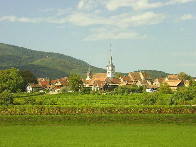 ALSACE CENTRALE : Andlau et ses châteaux (67)