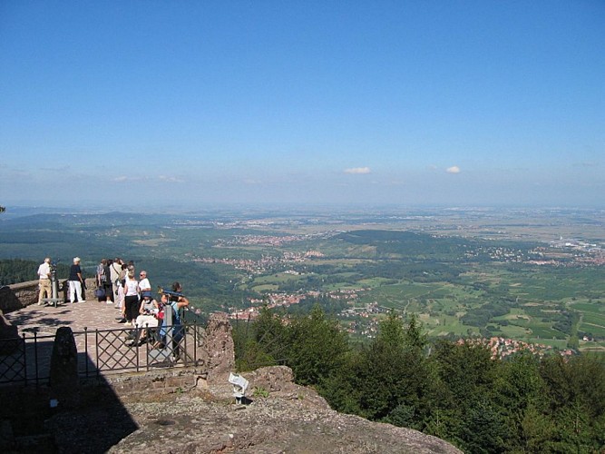 ALSACE CENTRALE : Sainte-Odile - La Montagne sacrée (67)