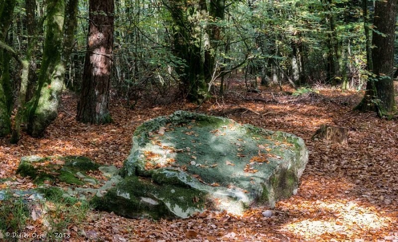 La Pierre des Druides, circuit de découverte