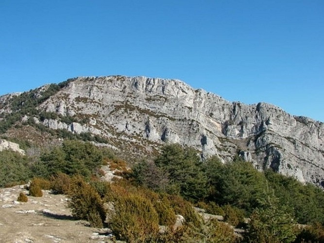 Cime de Roccassièra