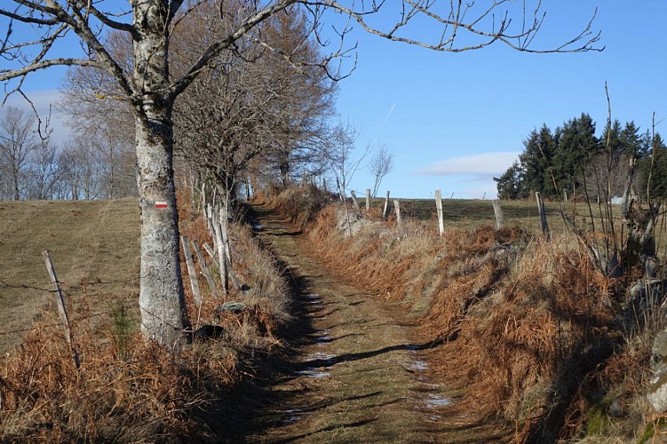 La Butte de Monjou à Jou Sous Monjou