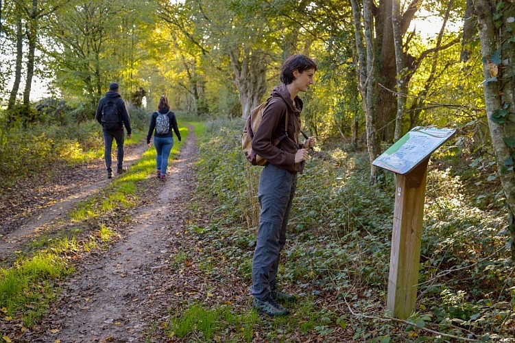 Rando_Circuit_Vieux_Bocage