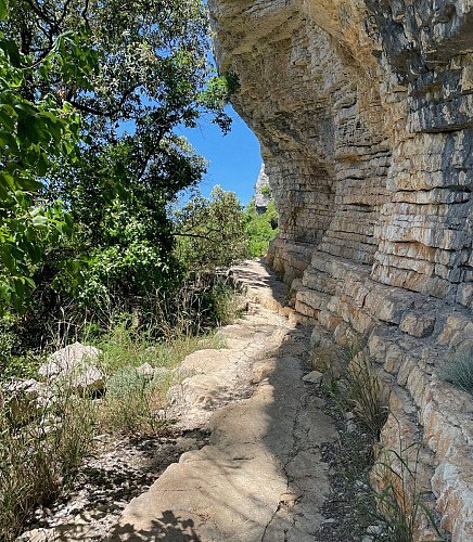 Ravin des Arcs ou Gorges de Lamalou