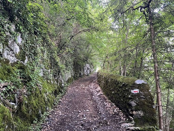 La montée vers le refuge